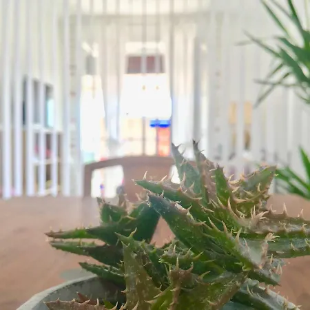 아파트 Roof Top Evy 로퀴에브륀캡마르탱